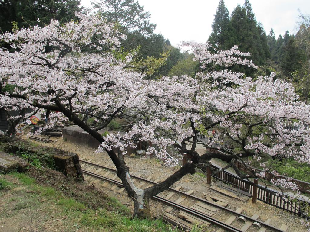 완쿠 호텔 중정 외부 사진